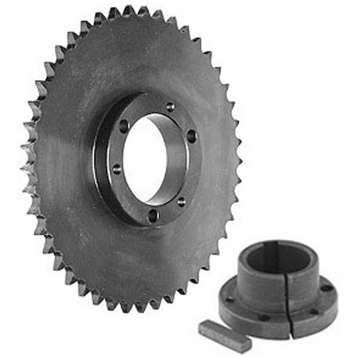 [50SDS36] 50SDS36 Linn